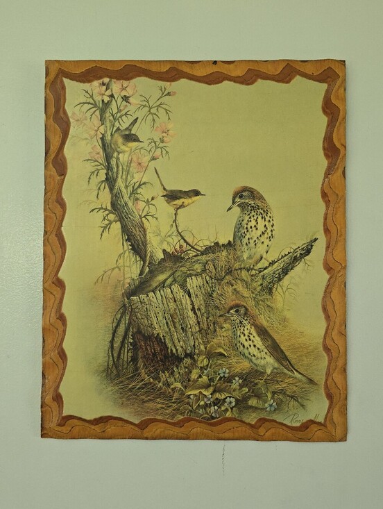 Other - Vintage Woodland Songster print by Ruane Manning Art Birds Rustic Wood Decor Mcm